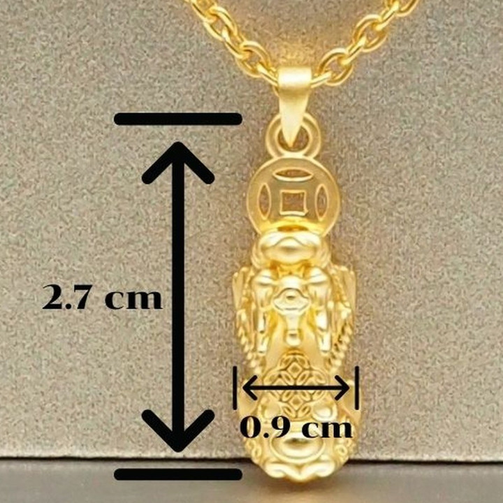 纯金安雅貔貅钱币吊坠，寓意好运与繁荣