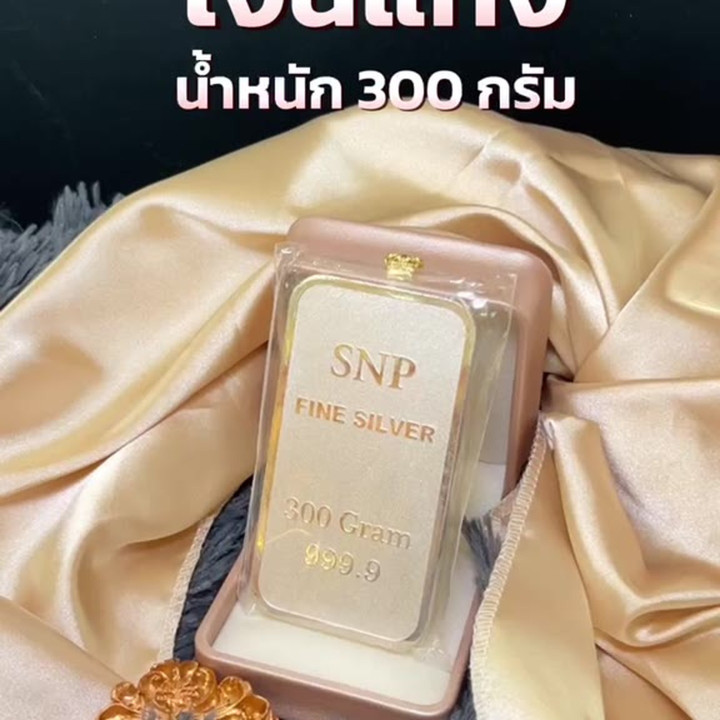 正品 .999 纯银条 - 300 克，带保修