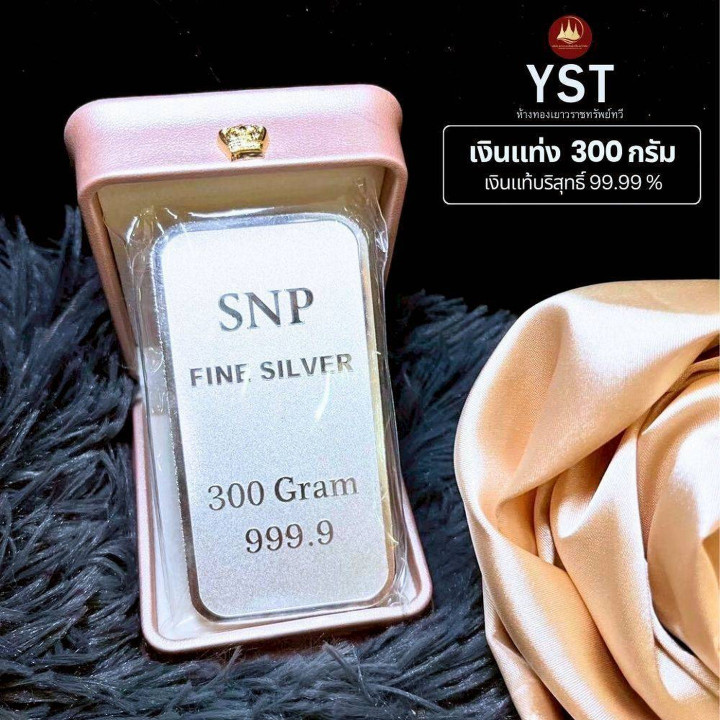 正品 .999 纯银条 - 300 克，带保修