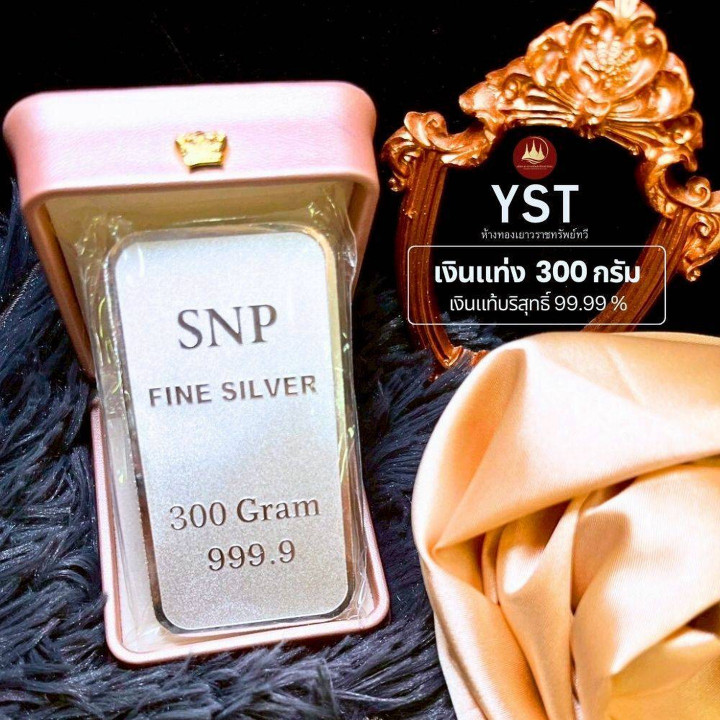 正品 .999 纯银条 - 300 克，带保修