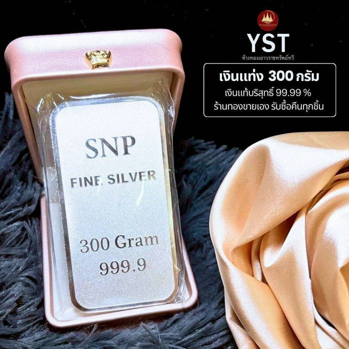 正品 .999 纯银条 - 300 克，带保修