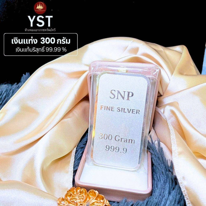 正品 .999 纯银条 - 300 克，带保修
