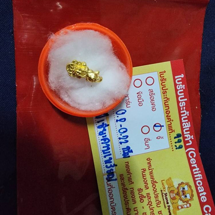 纯金貔貅吊坠，镶嵌7枚铜钱 - 招财纳福护身符