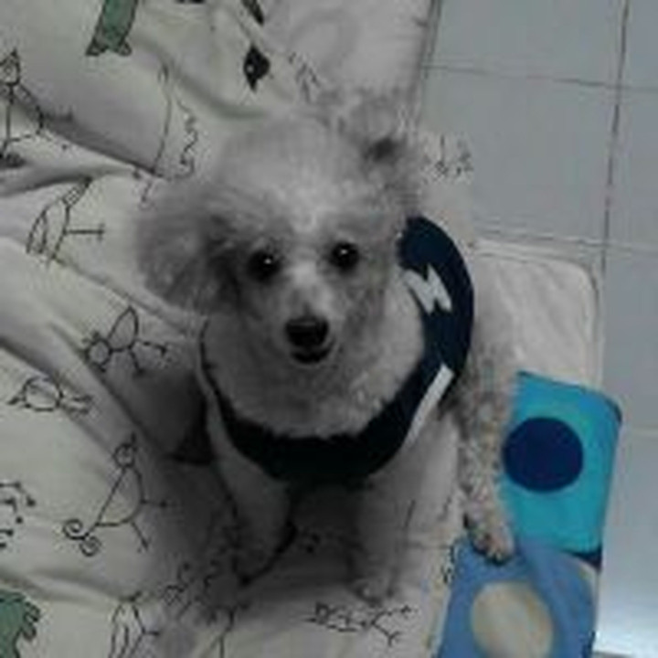 纯金 Thao Wessuwan 吊坠 | 小巧精致，保证正品