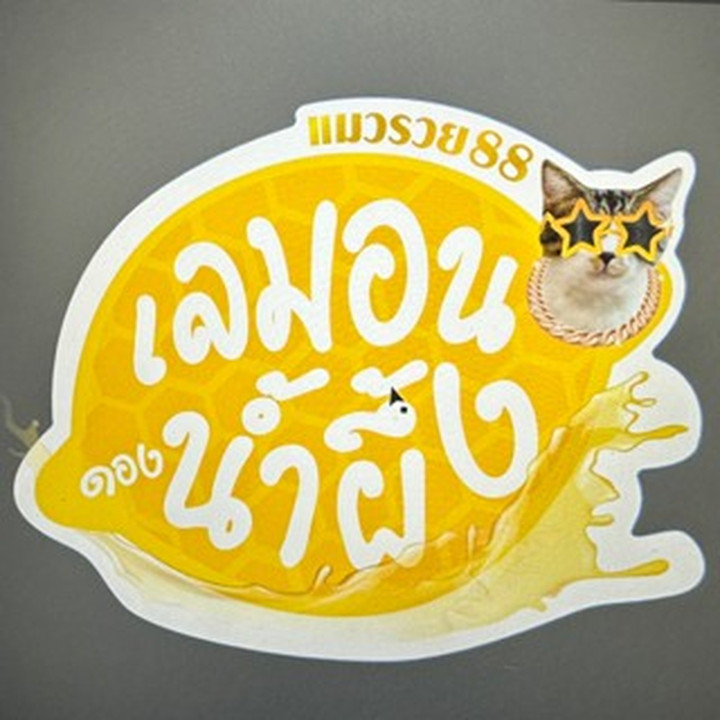 تميمة بيكسيو من الذهب الخالص: تميمة للثروة والحظ مع شهادة