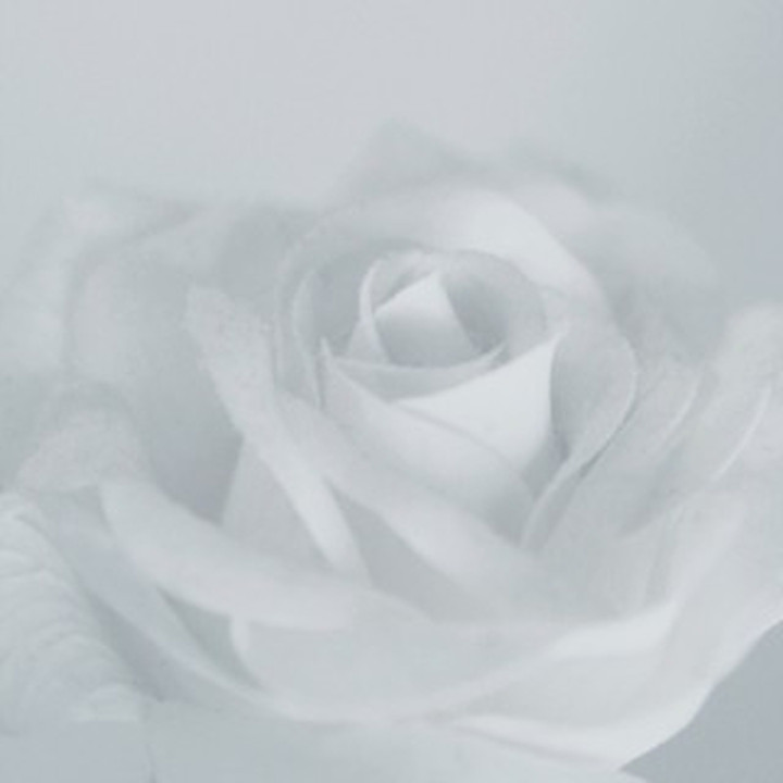 Heart-Shaped 75 Pure Gold Earrings | BangkokGolds