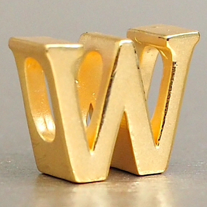 Anya Charm: Alphabet & Gold Initial Jewelry