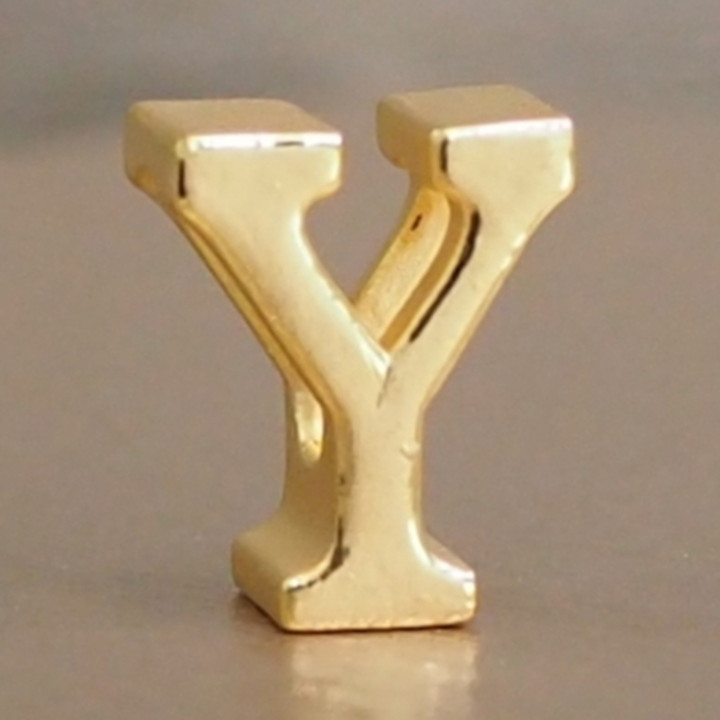 Anya Charm: Alphabet & Gold Initial Jewelry