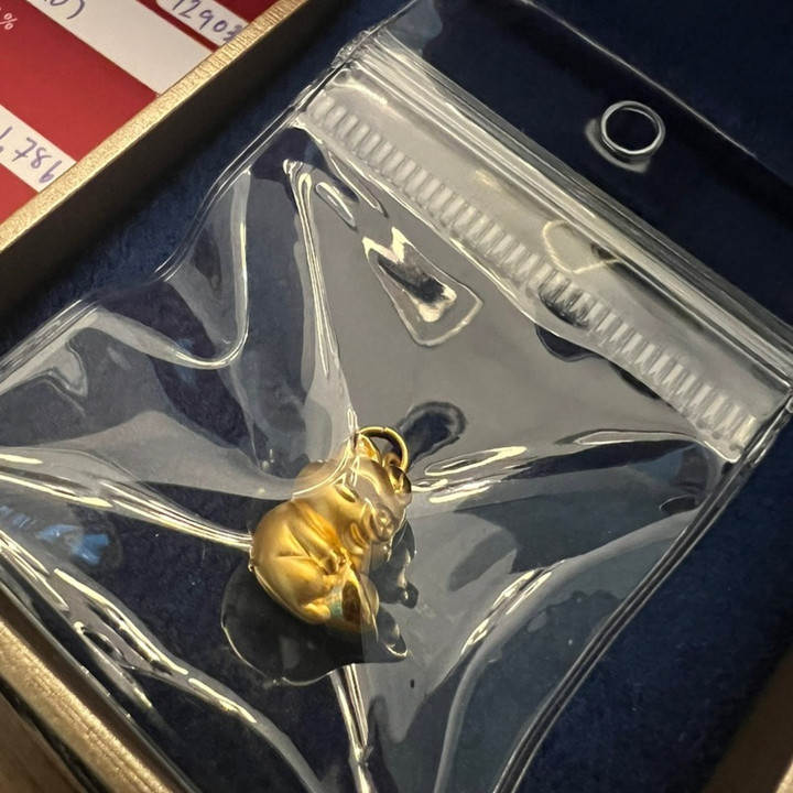 Pure Gold Anya Pig Pendant | Lucky Charm & Investment