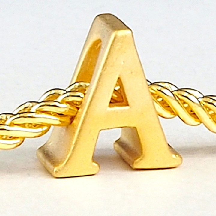 Anya Charm Gold Name Necklace (A-M)