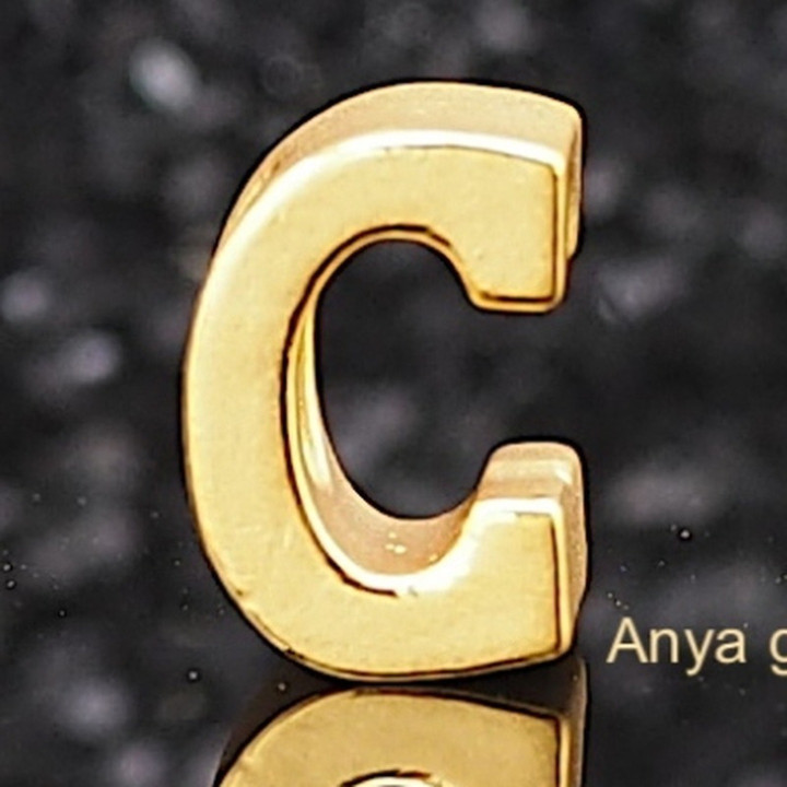 Anya Charm Gold Name Necklace (A-M)