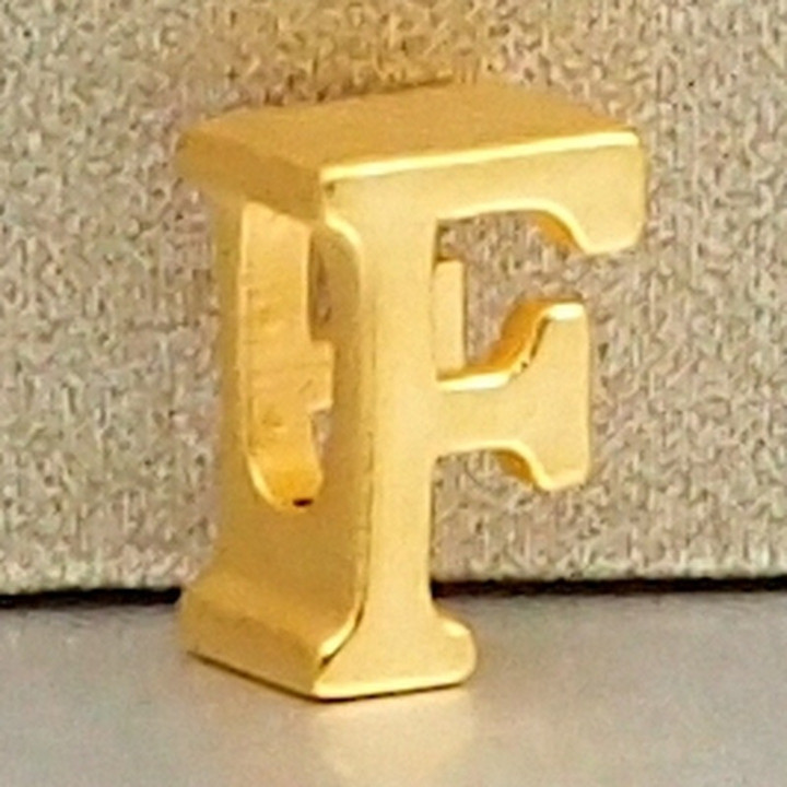 Anya Charm Gold Name Necklace (A-M)