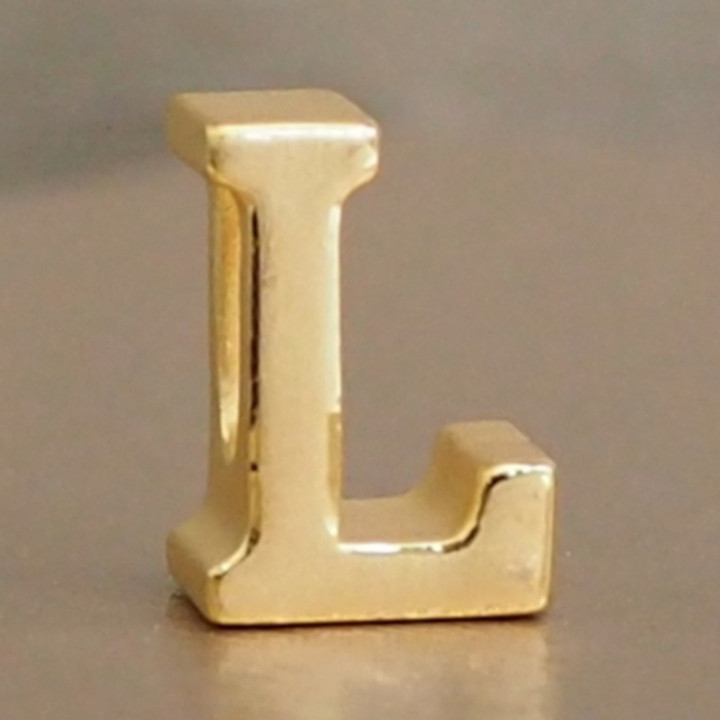 Anya Charm Gold Name Necklace (A-M)